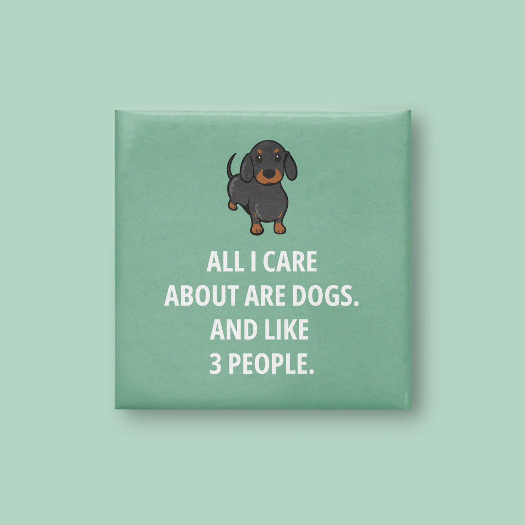 Dog Care Magnet - Lumi Magnets