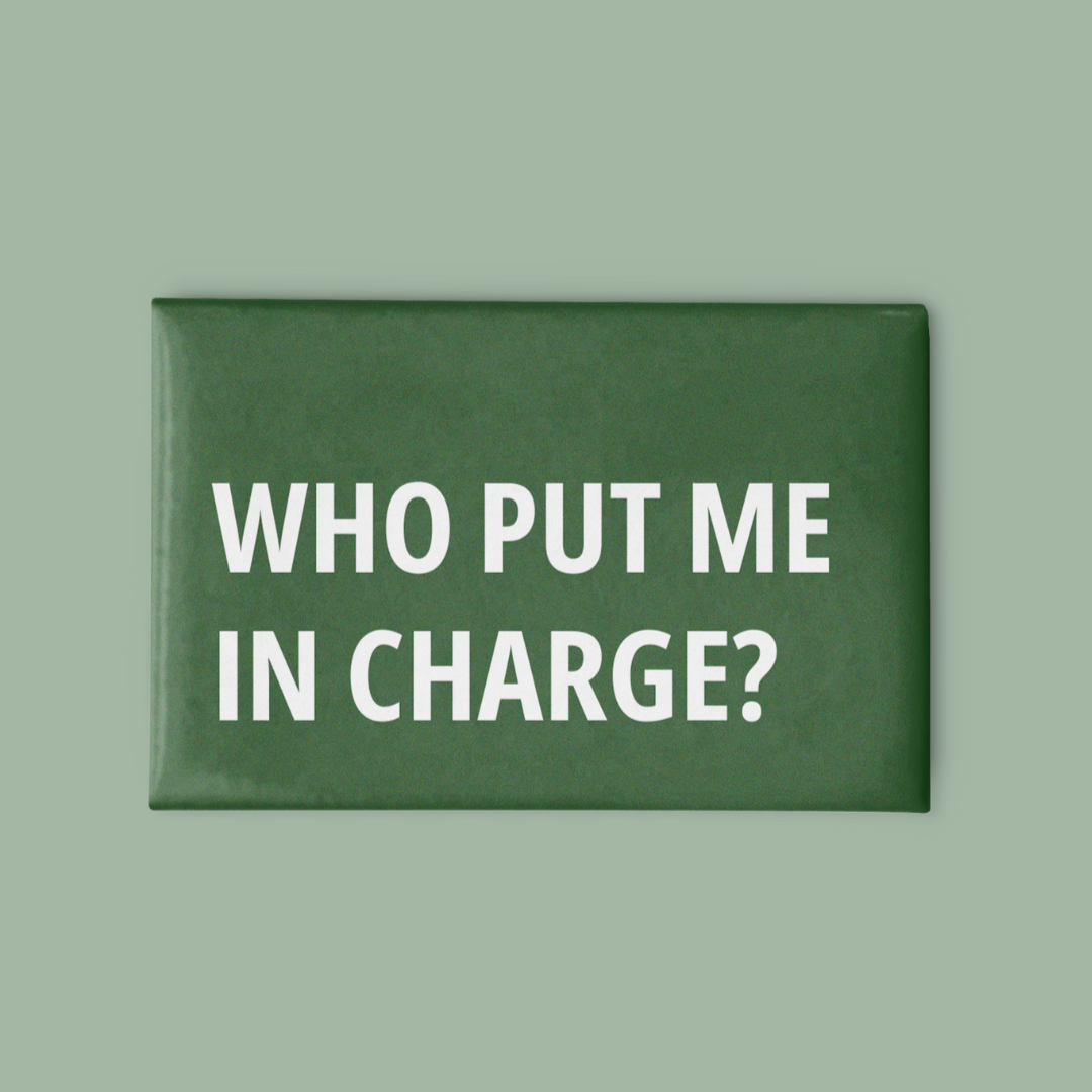 In Charge Magnet - Lumi Magnets