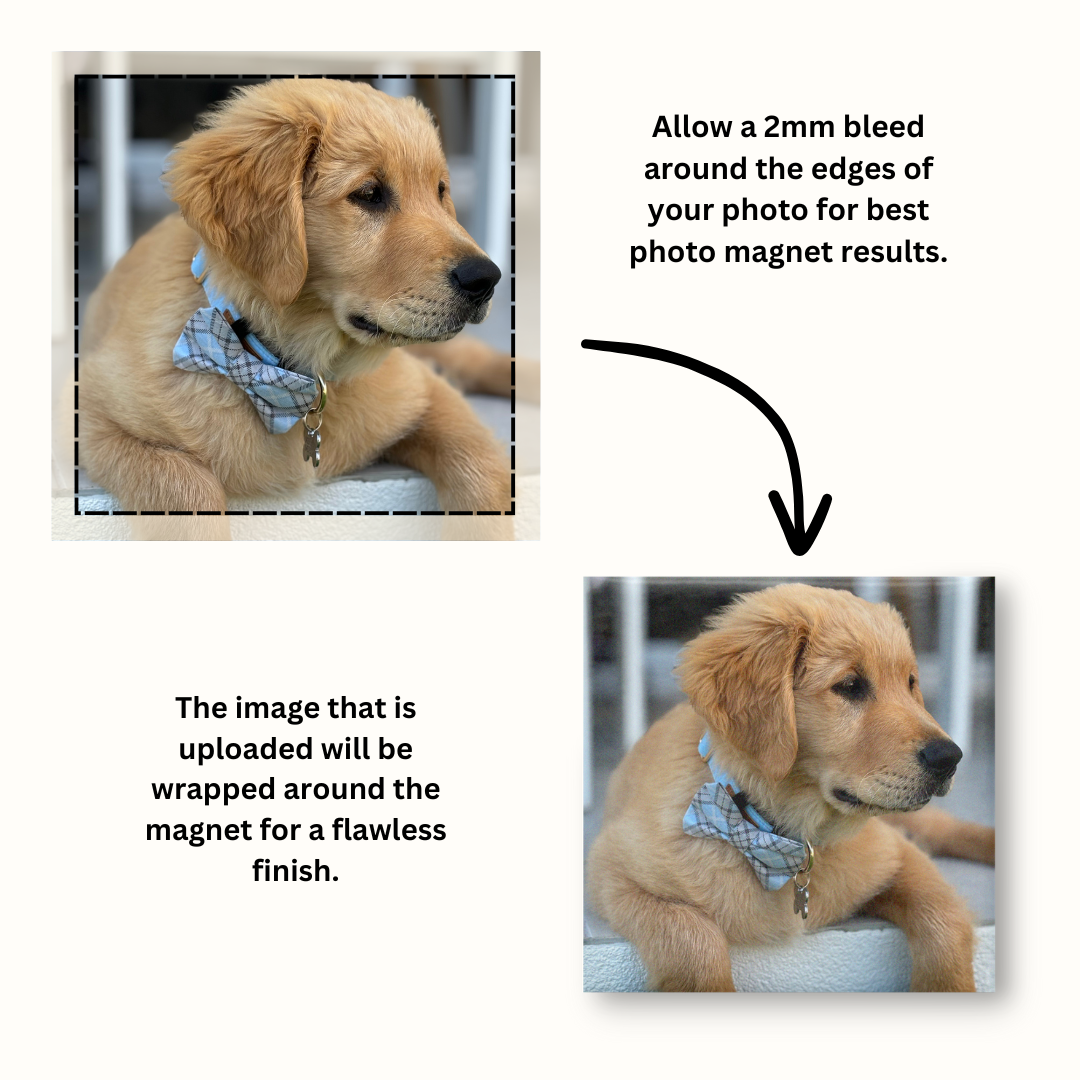 Photo Magnet Rectangle - Lumi Magnets